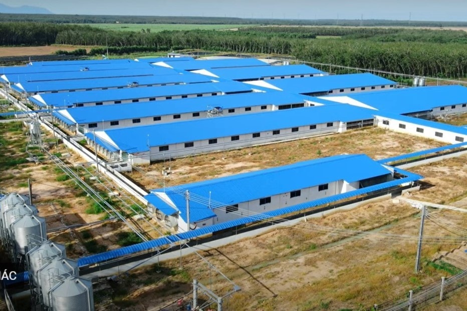 anh4-copy.jpg
