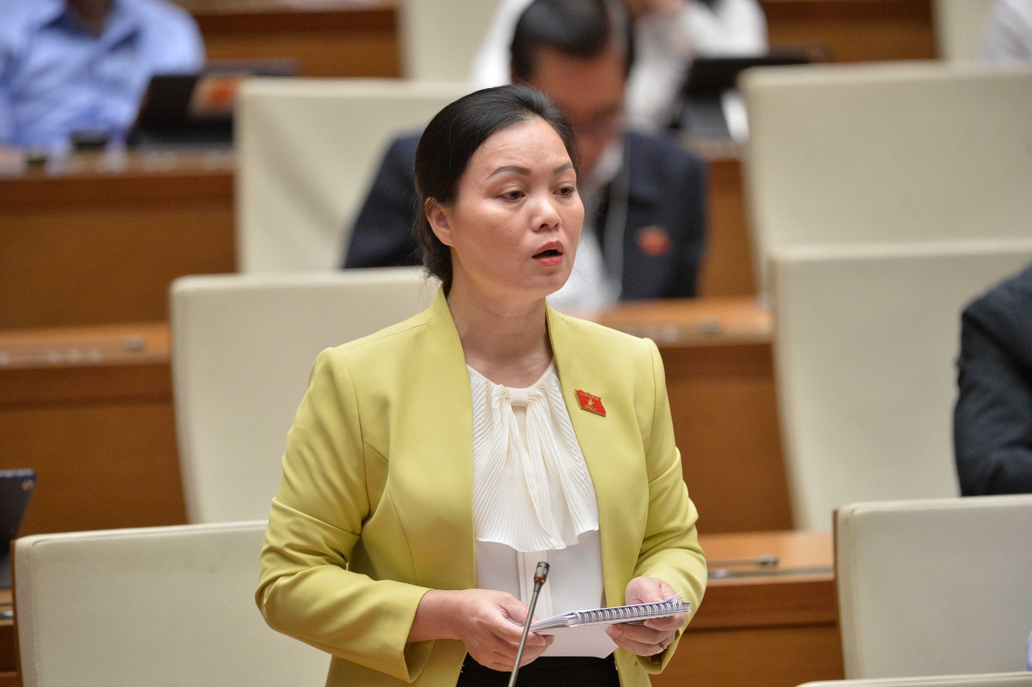 dbqh-huynh-thi-phuc-ba-ria-vung-tau.jpg