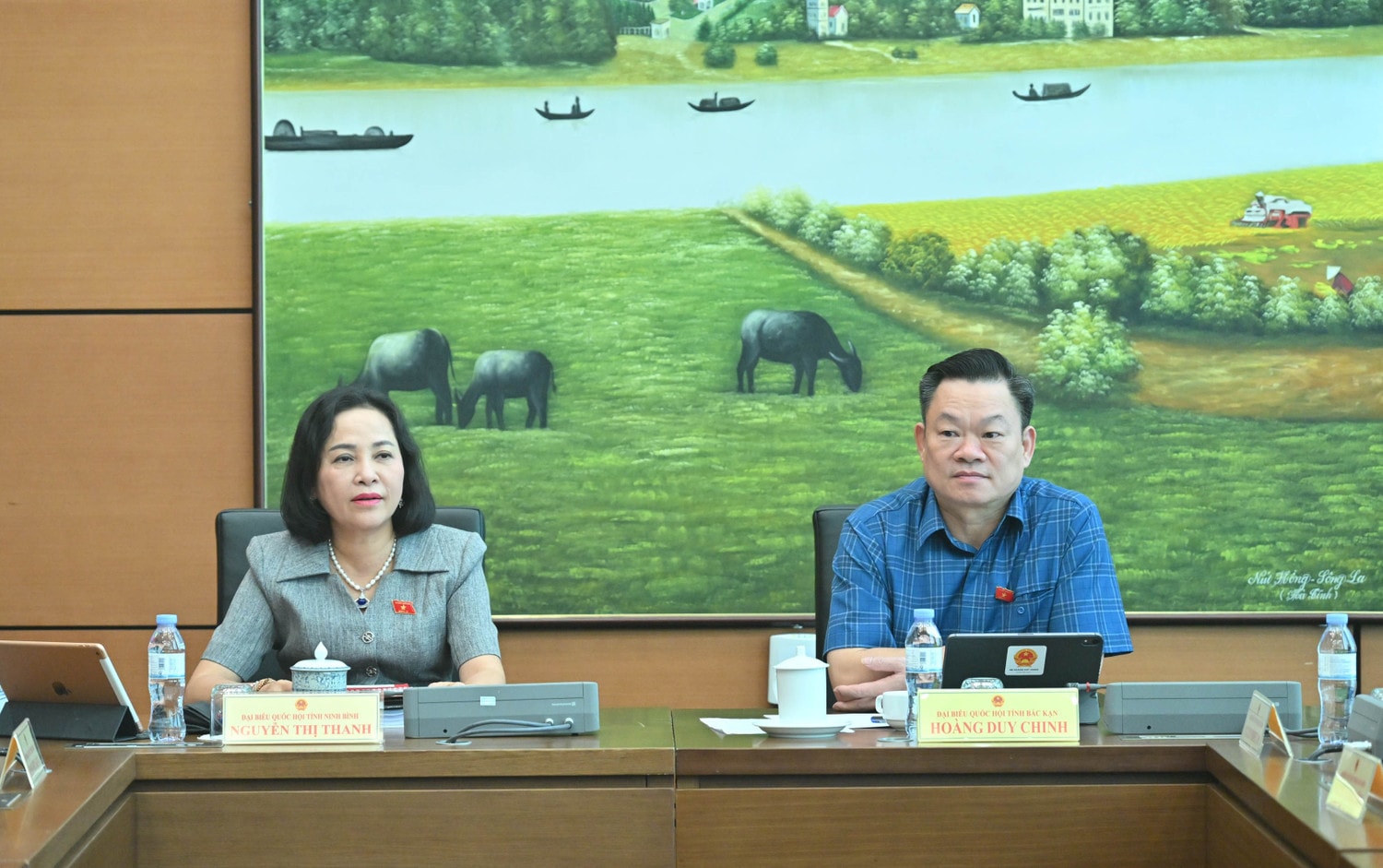 pho-chu-tich-quoc-hoi-nguyen-thi-thanh-du-phien-hop-to-12vqk-0733.jpg