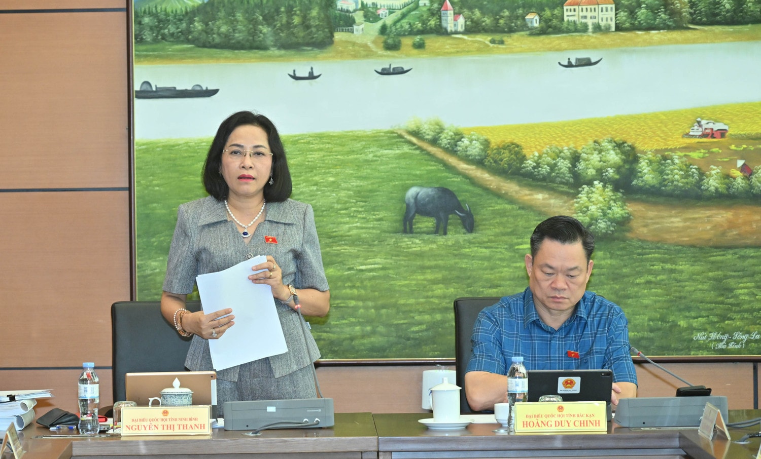 pho-chu-tich-quoc-hoi-nguyen-thi-thanh-phat-bieuvqk-0870.jpg