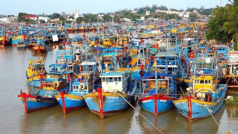 20240701083519666viet-nam-quyet-tam-cao-go-canh-bao-the-vang-iuu-tr-1601-1.jpg