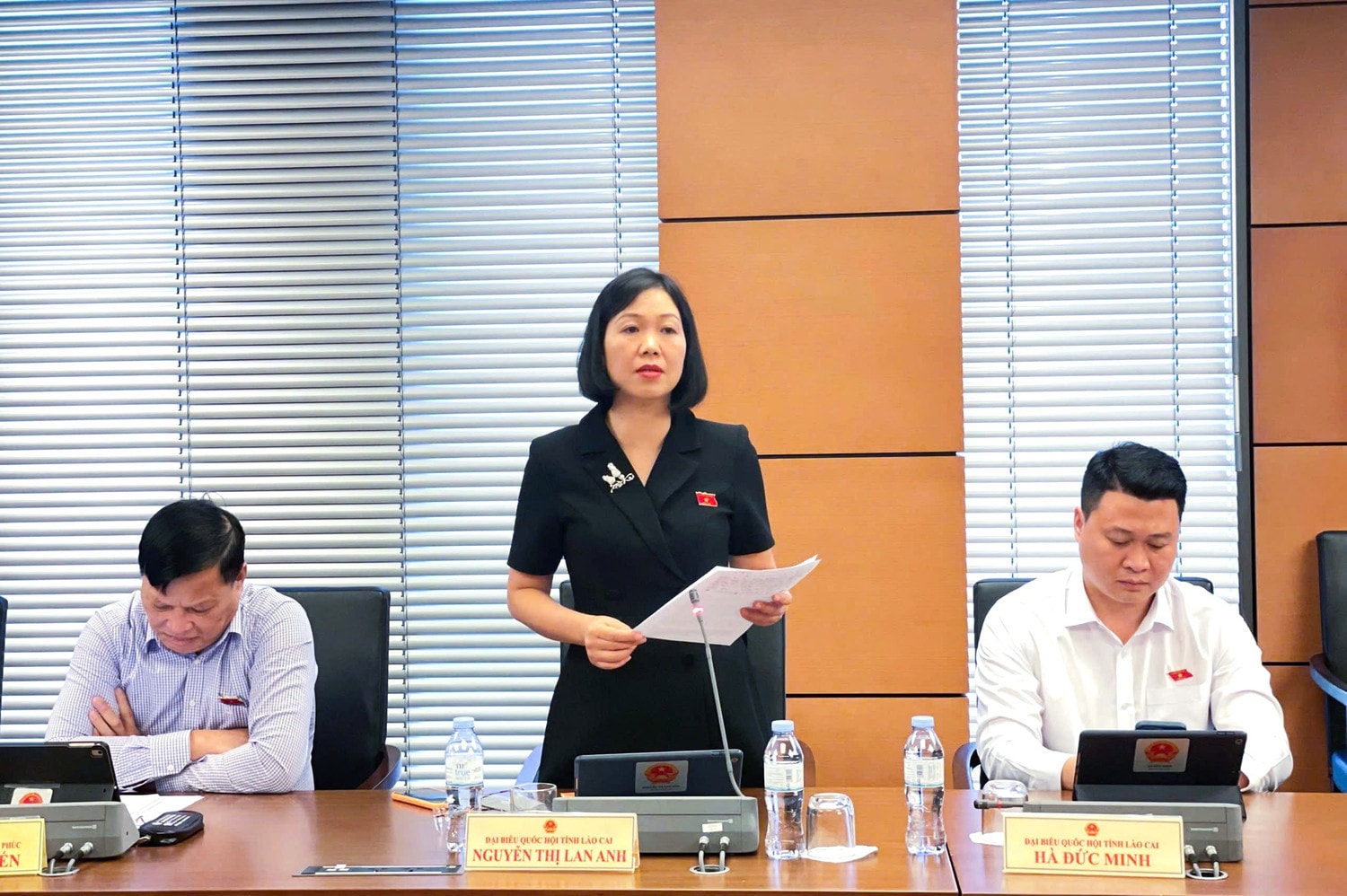 nguyen-thi-lan-anh-anh.jpg