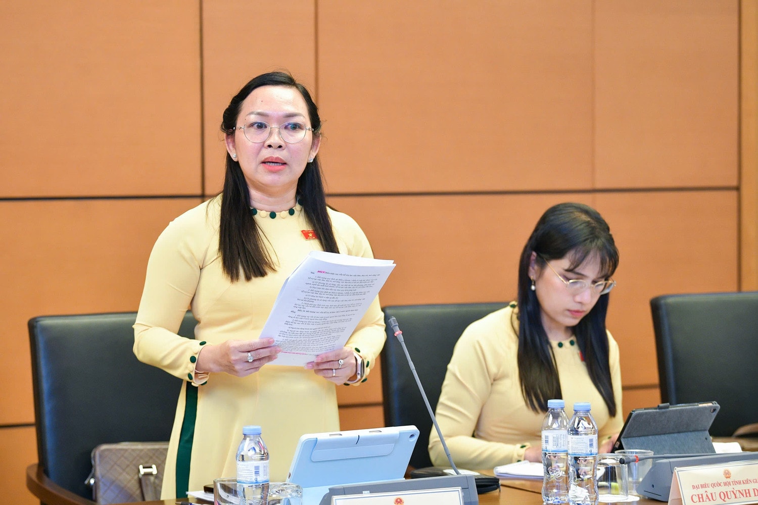 ĐBQH Lý Anh Thư (Kiên Giang) phát biểu. Ảnh: Lê Bình