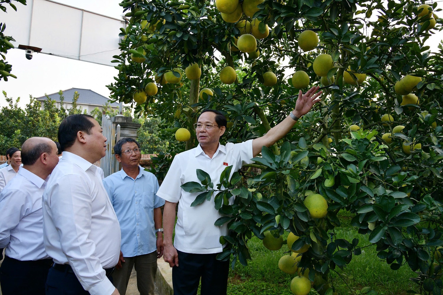 2pho-chu-tich-quoc-hoi-thuong-tuong-tran-quang-phuong-tham-mo-hinh-trong-buoi-vietgap-ocop-tai-xom-dai-dong-xa-ngoc-luong-huyen-yen-thuy.jpg