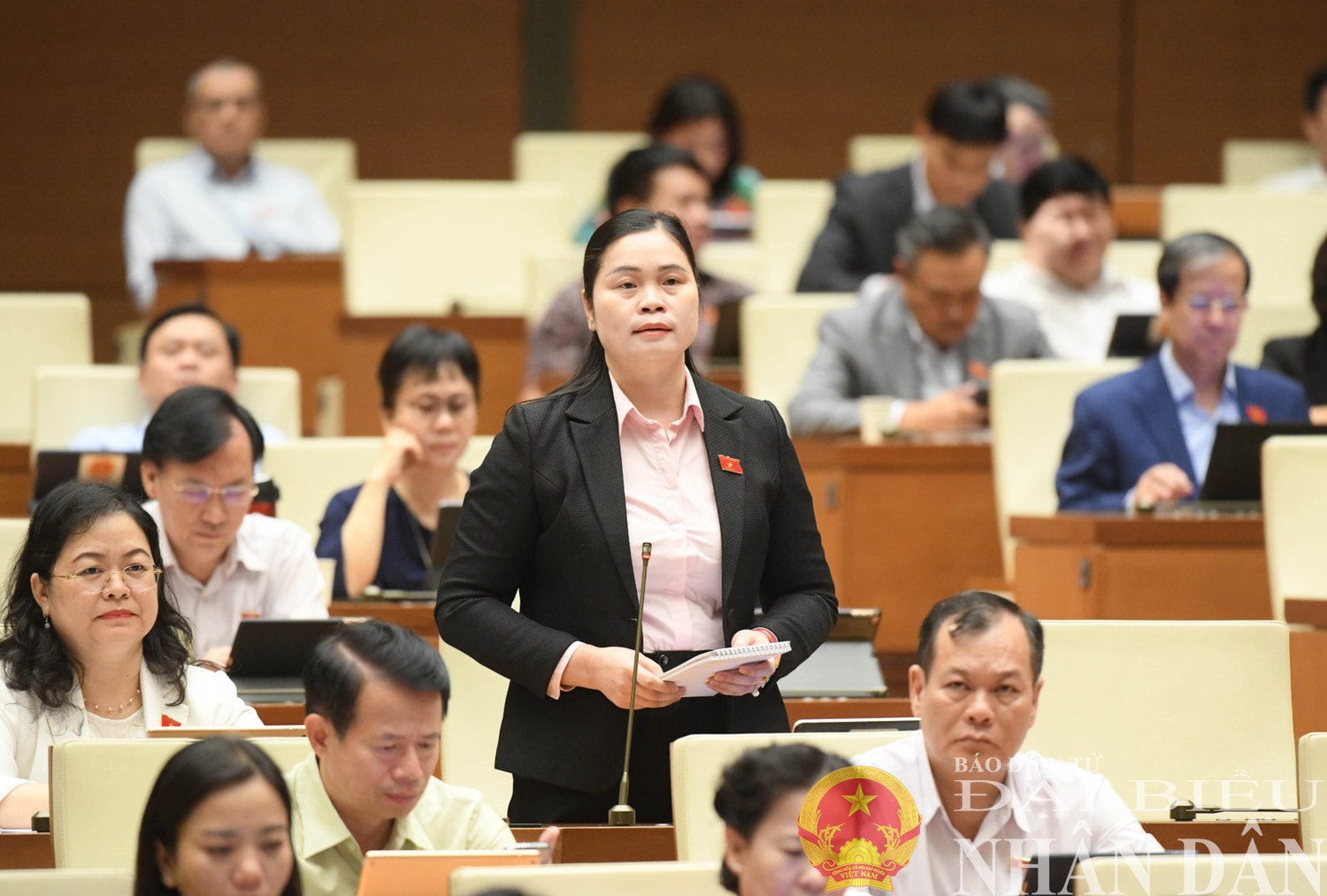 dbnd_br_db-ma-thi-thuy-tuyen-quang3.jpg