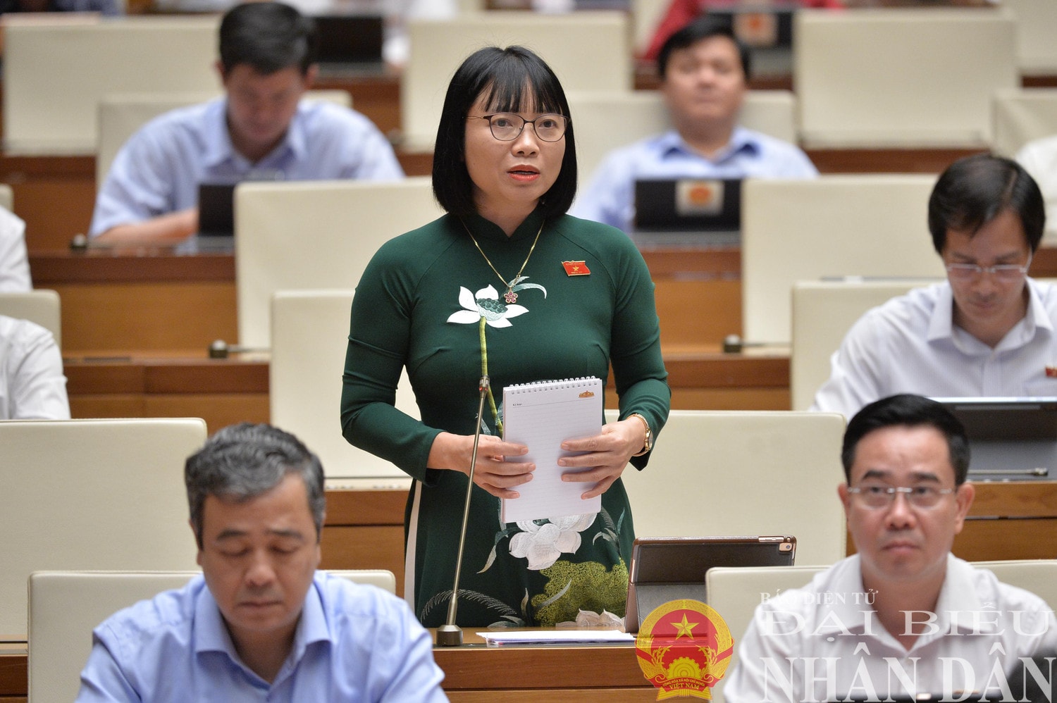 dbnd_br_dbqh-nguyen-thi-viet-nga-hai-duong.jpg