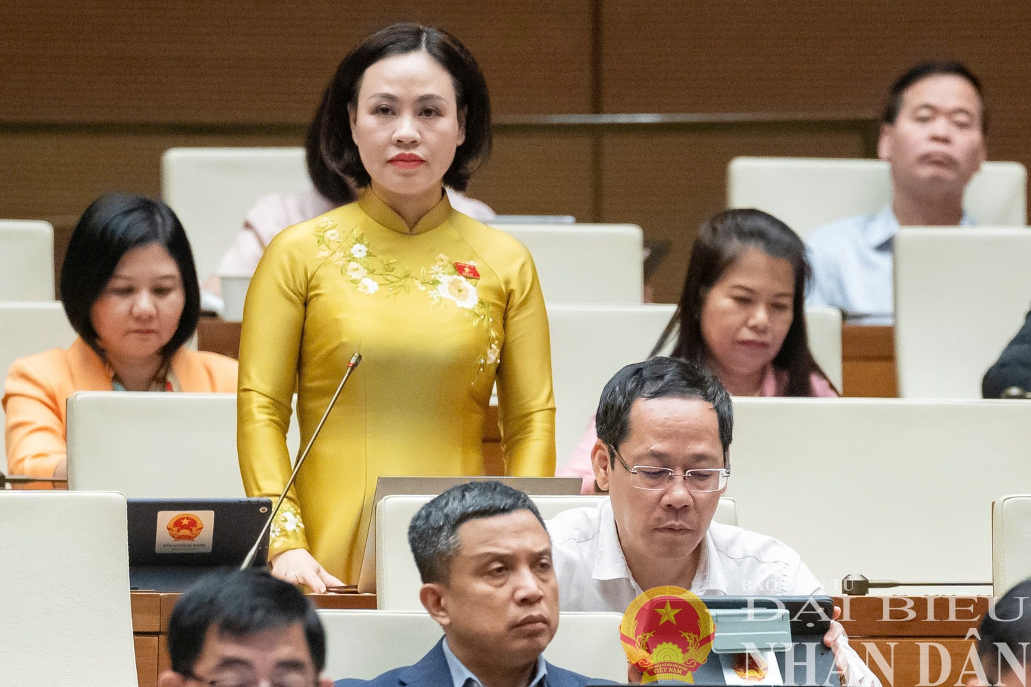 dbnd_br_dbqh-tran-thi-hong-thanh-ninh-binh.jpg