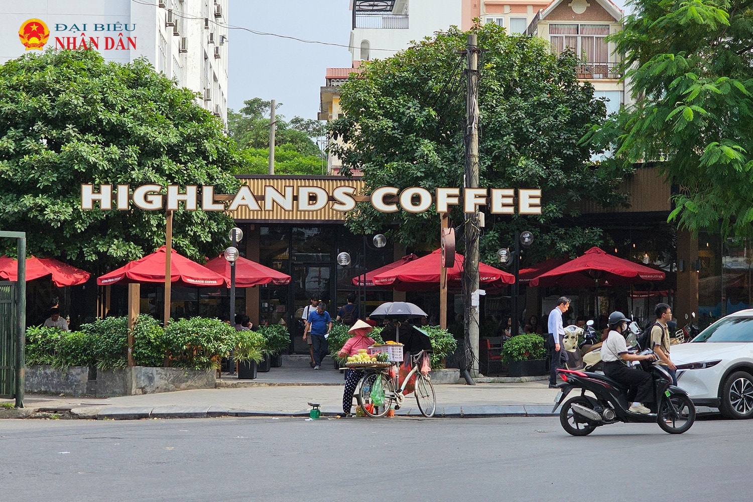 hightland-coffe-2024-5.jpg