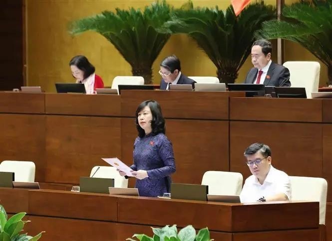 Minister of Health Dao Hong Lan clears up questions on issues related to the health sector (Photo: Ho Long) Minister of Health Dao Hong Lan clears up questions on issues related to the health sector (Photo: Ho Long)