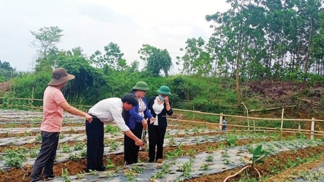 Nhiều chương trình tập huấn, đào tạo nghề nông nghiệp được tổ chức giúp người dân nâng cao thu nhập. Ảnh: Phạm Giáp