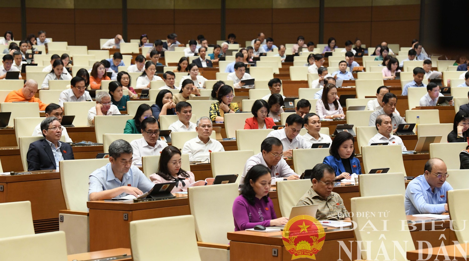 Các đại biểu dự phiên họp. Ảnh: Lâm Hiển