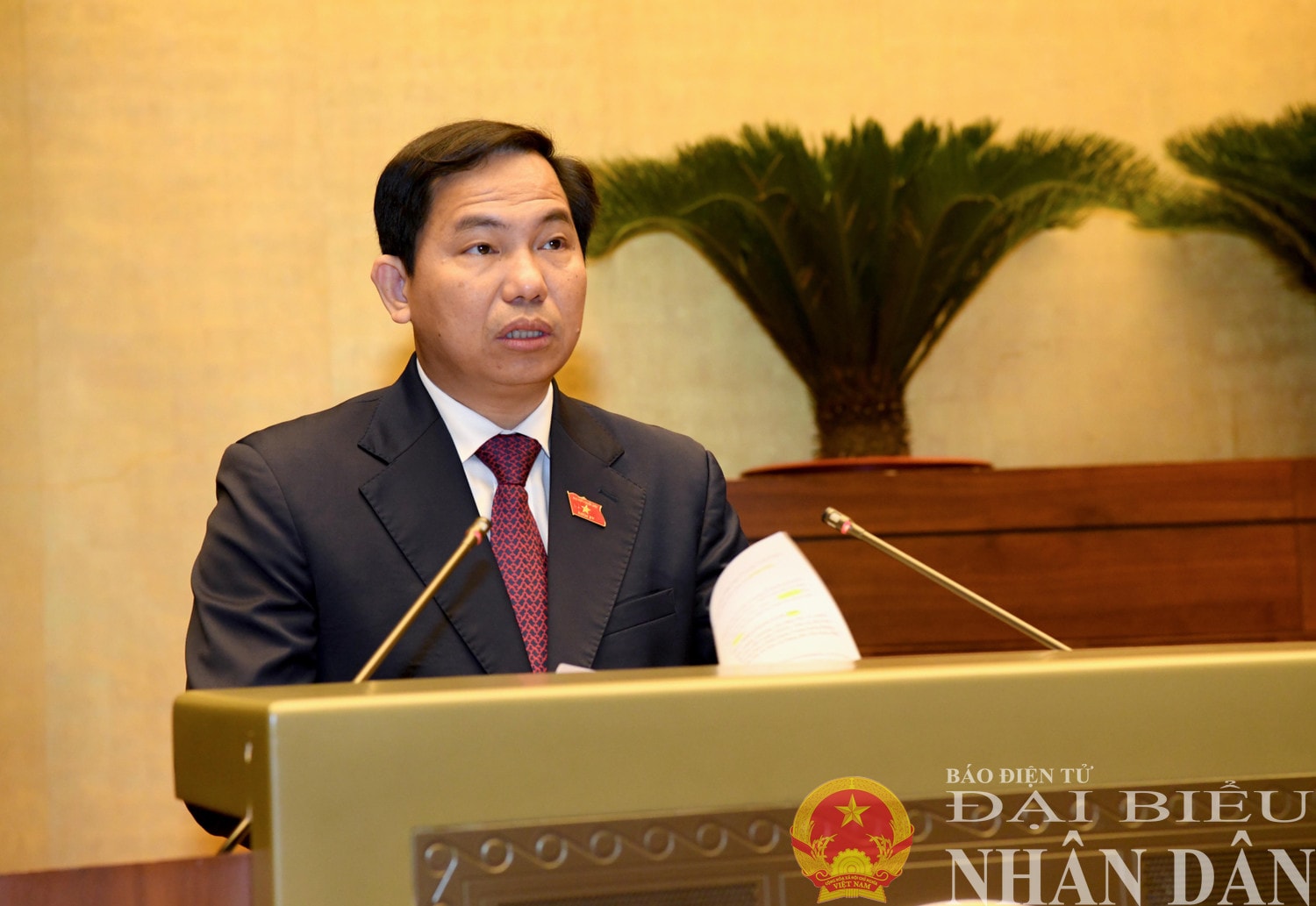 dbnd_br_chu-nhiem-uy-ban-tai-chinh-ngan-sach-le-quang-manh.jpg