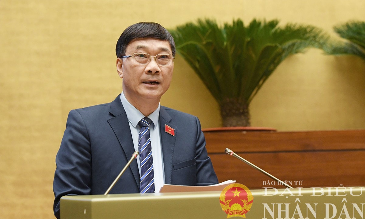 dbnd_br_hong-thanh.jpg