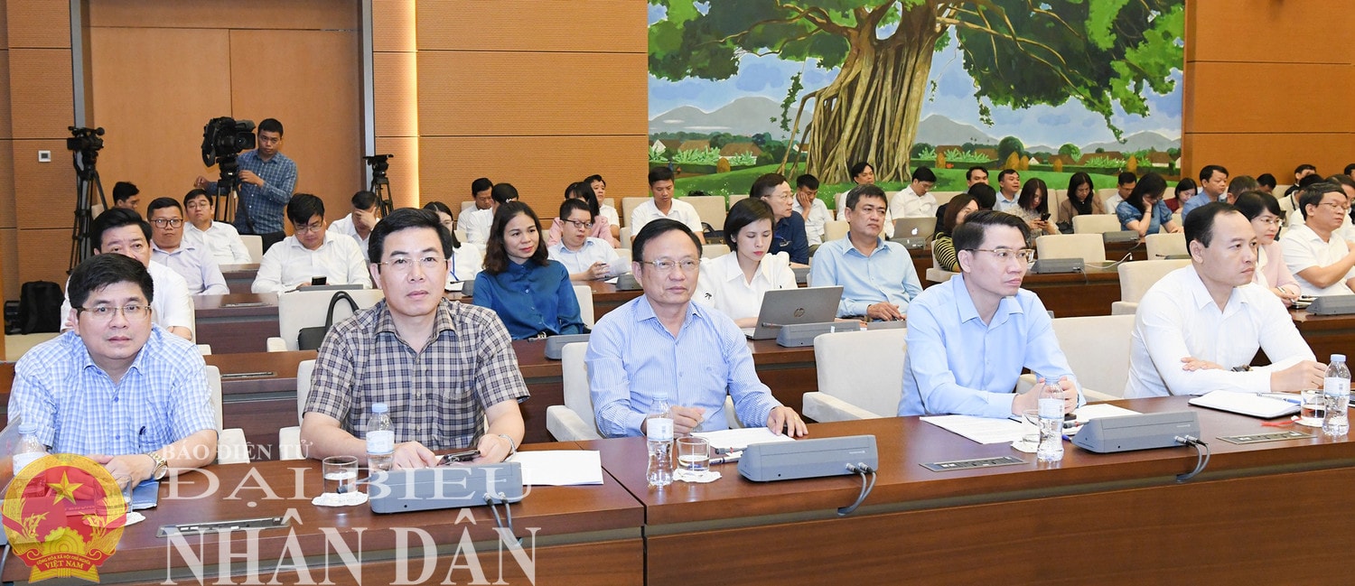 dbnd_bl_ph3919.jpg