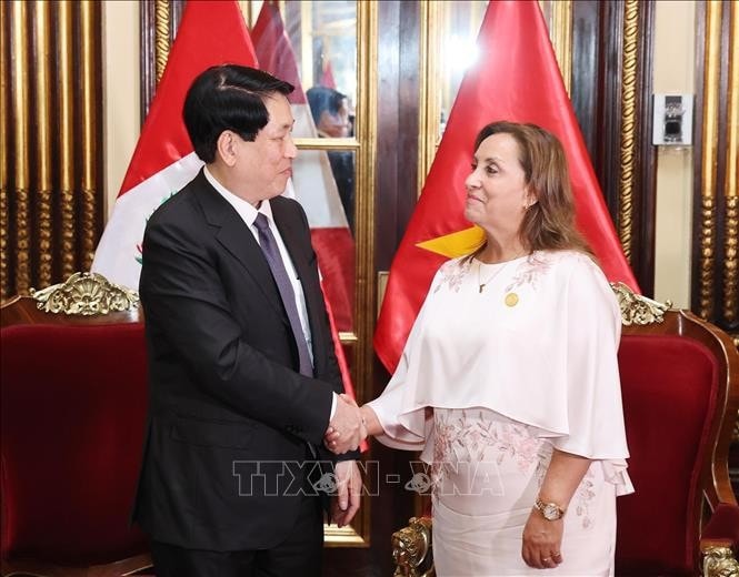 Chủ tịch nước Lương Cường và Tổng thống Peru Dina Ercilia Boluarte Zegarra tiến hành hội đàm. Ảnh: Lâm Khánh/TTXVN