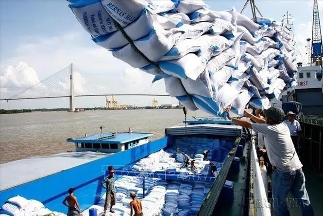 Loading rice for export (Photo: VNA) Loading rice for export (Photo: VNA)