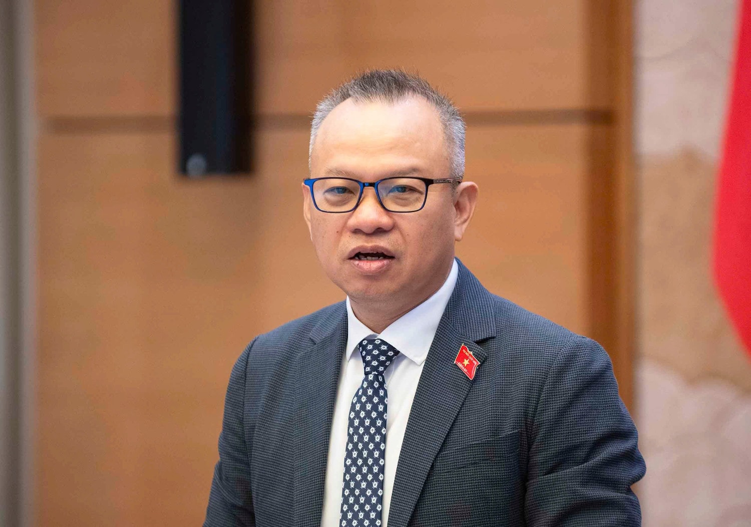 Phó Chủ nhiệm Ủy ban Đối ngoại Nguyễn Mạnh Tiến phát biểu