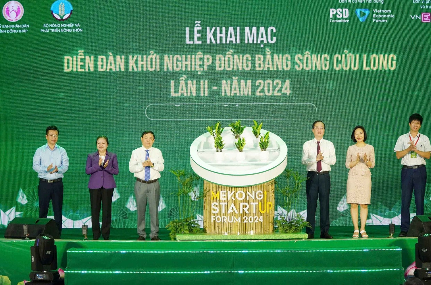 khai-mac-dien-da-9016.jpg