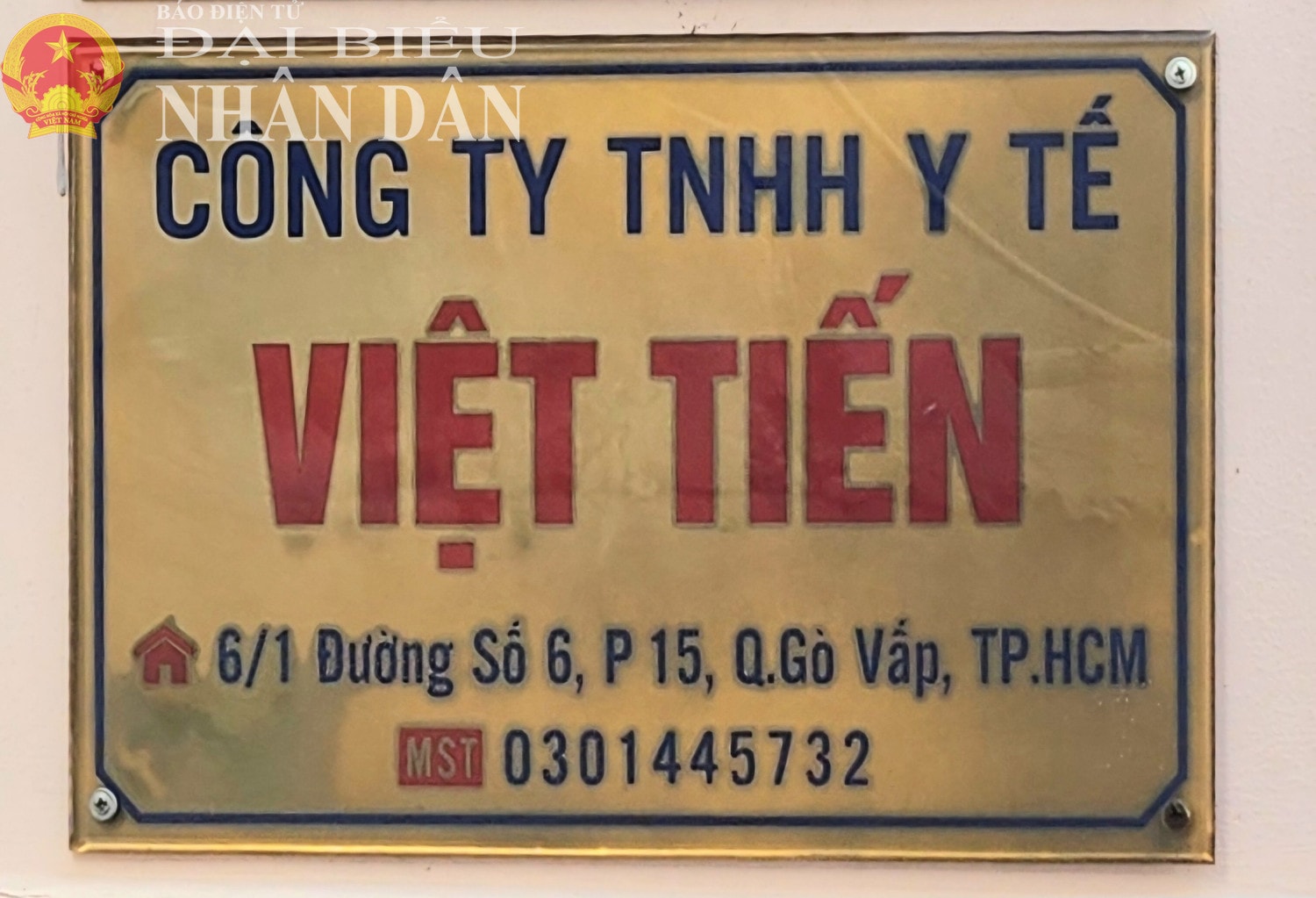 dbnd_tl_vt-1.jpg