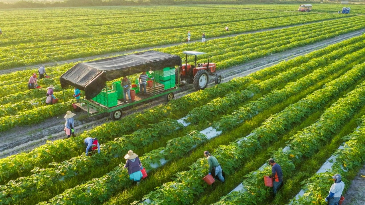 Huyện Xuân Lộc xây dựng nông thôn mới kiểu mẫu và hướng tới mô hình nông nghiệp xanh, nông thôn thông minh. Nguồn: ITN