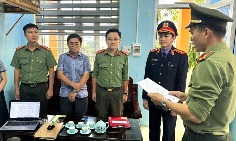 dai-an-cay-xanh.jpg