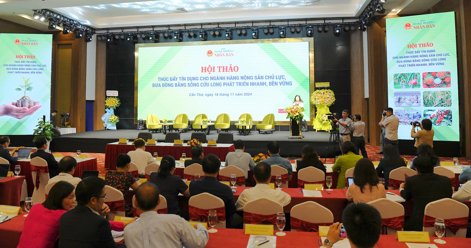 Toàn cảnh hội thảo. Ảnh: Lâm Hiển