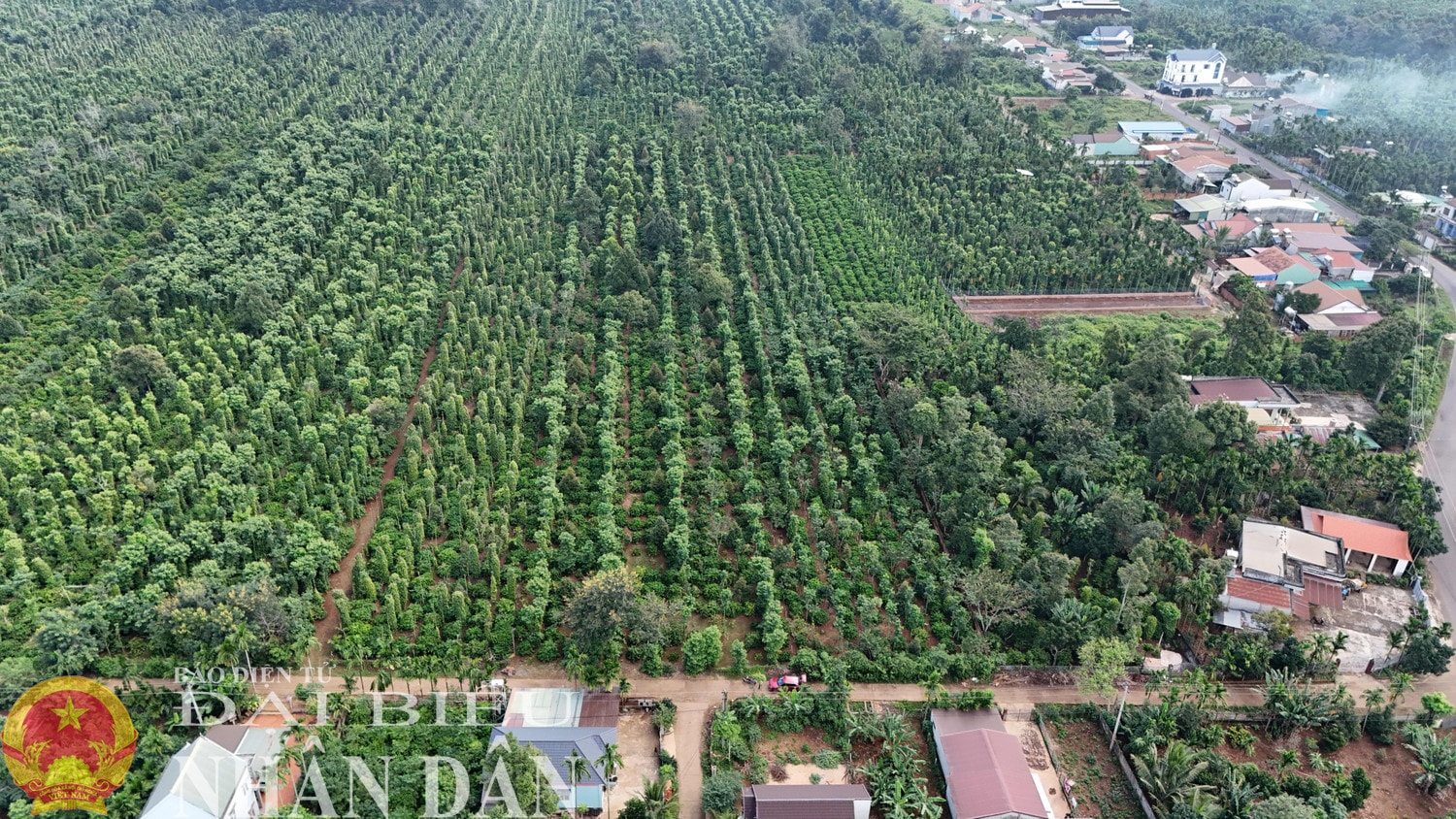 dbnd_bl_dji-20241105084920-0092-d.jpg