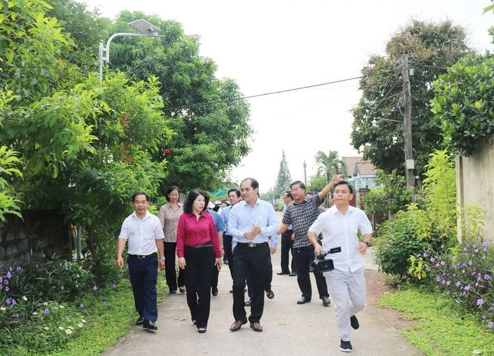 p1.jpg