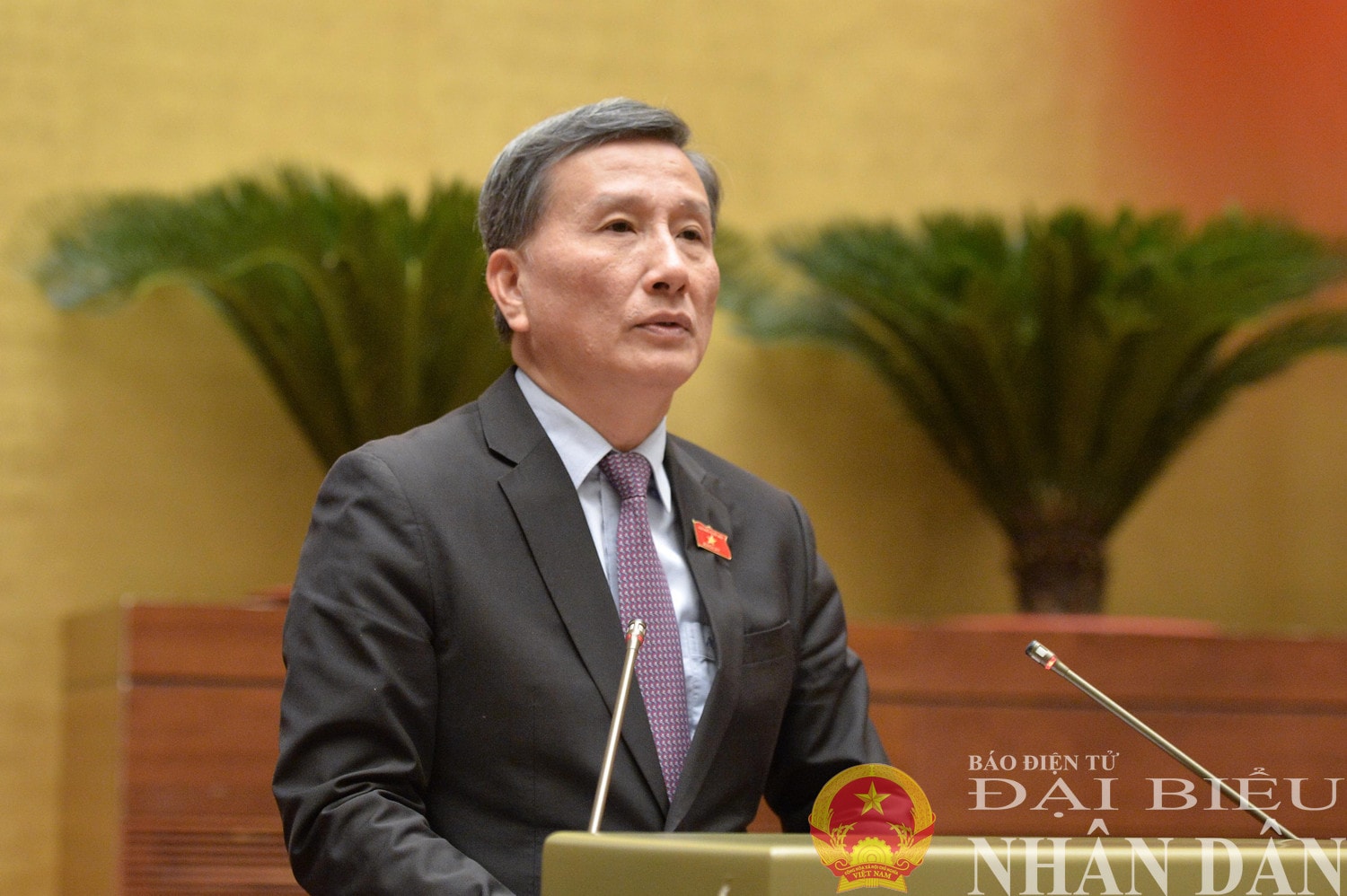 dbnd_br_chu-nhiem-uy-ban-khoa-hoc-cong-nghe-va-moi-truong-le-quang-huy-trinh-bay-bao-cao-tham-tra-du-an-luat-cong-nghiep-cong-nghe-so.jpg