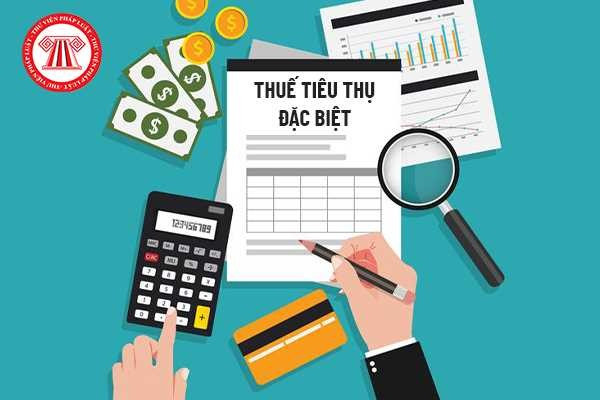 thue-tieu-thu-dac-biet-05-1.png