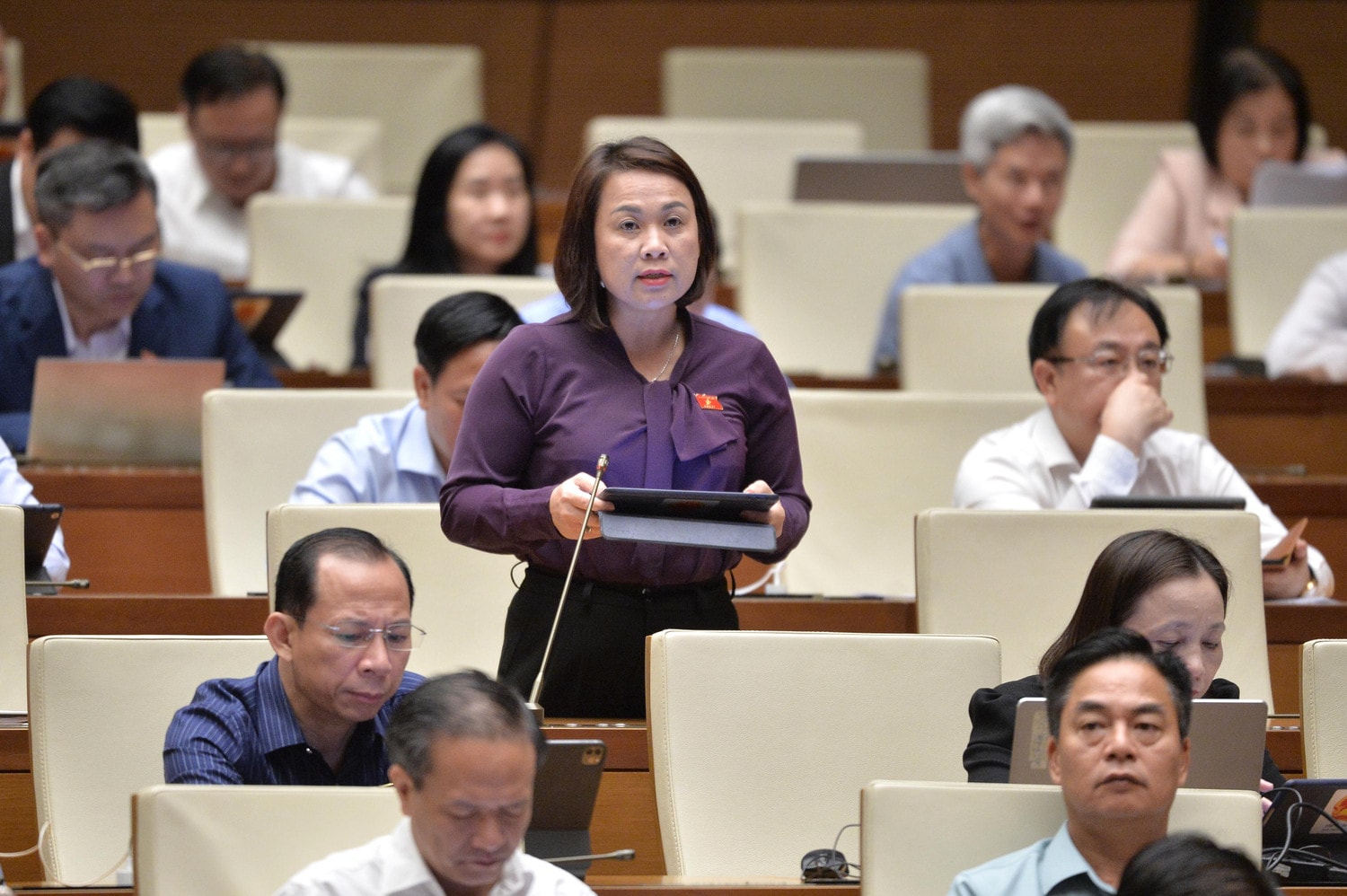 dbqh-nguyen-thi-thu-thuy-binh-dinh.jpg
