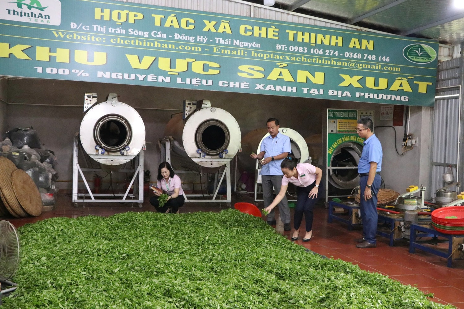 Nguồn vốn tín dụng chính sách đã góp phần đưa “hương trà” bay xa. Ảnh: Đ. Dư