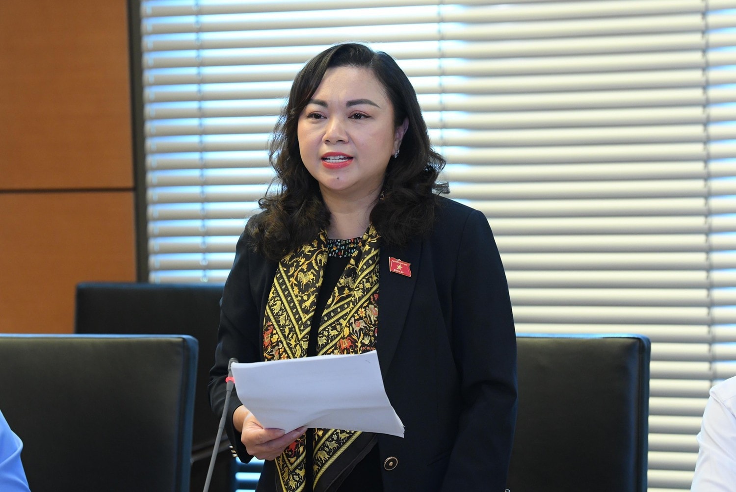 ĐBQH Đặng Bích Ngọc (Hòa Bình)