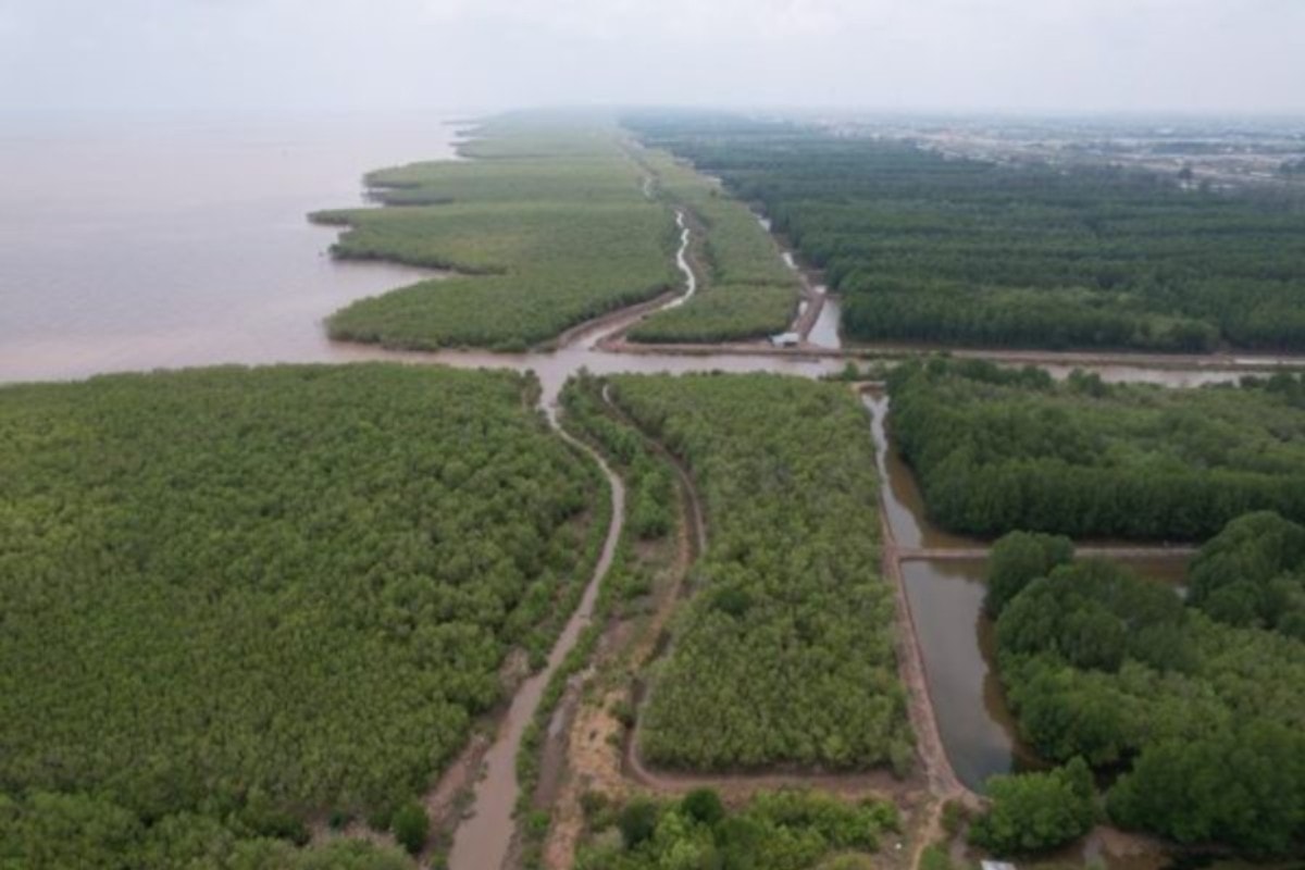 anh-2-ung-dung-thiet-bi-bay-khong-nguoi-lai-trong-giam-sat-trong-rung-ven-bien-anh-cln.jpg