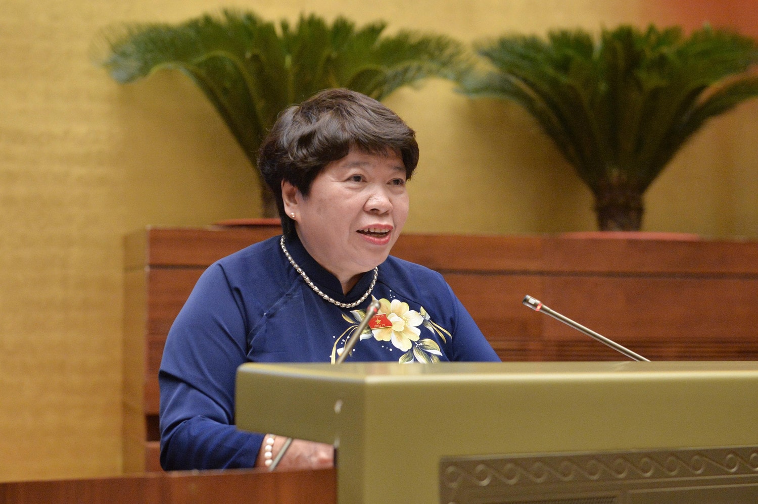 chu-nhiem-uy-ban-xa-hoi-nguyen-thuy-anh.jpg