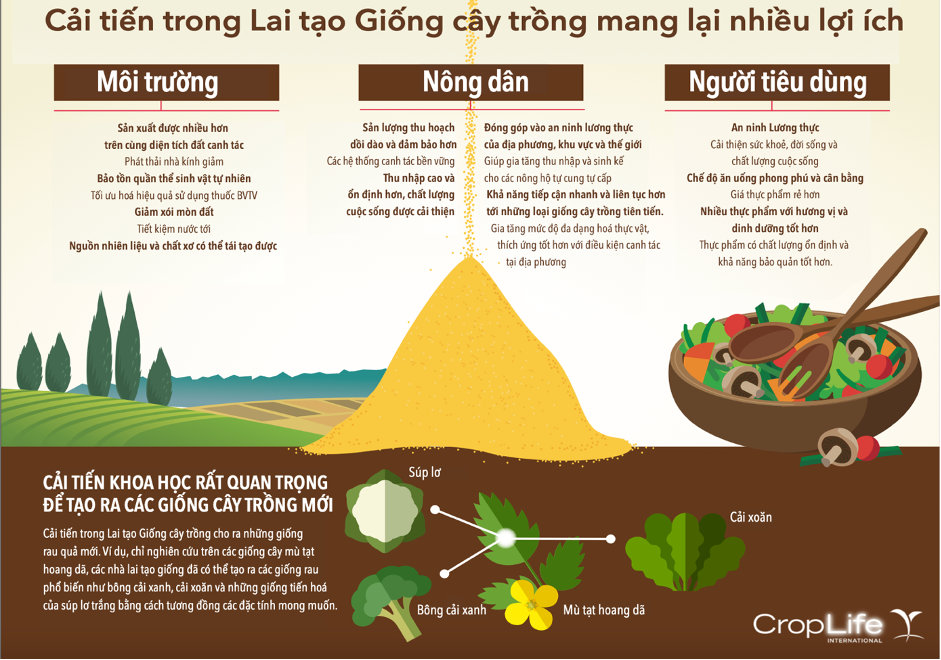 Cải tiến khoa học rất quan trọng để tạo ra các giống cây trồng mới