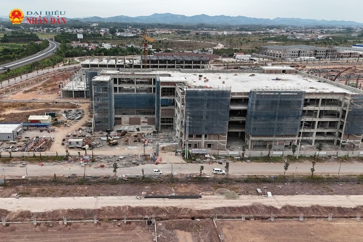 kcn-tan-hung-8.jpg