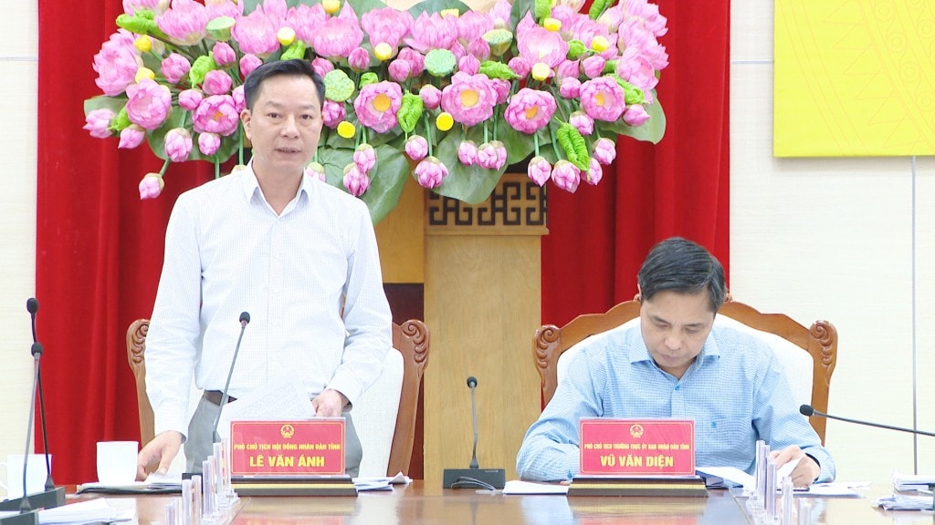 Phó Chủ tịch HĐND tỉnh Lê Văn Ánh phát biểu tại hội nghị