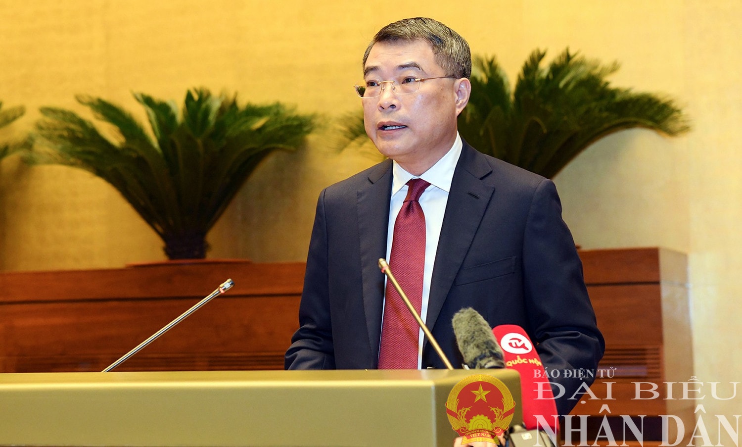 dbnd_br_le-minh-hung.jpg