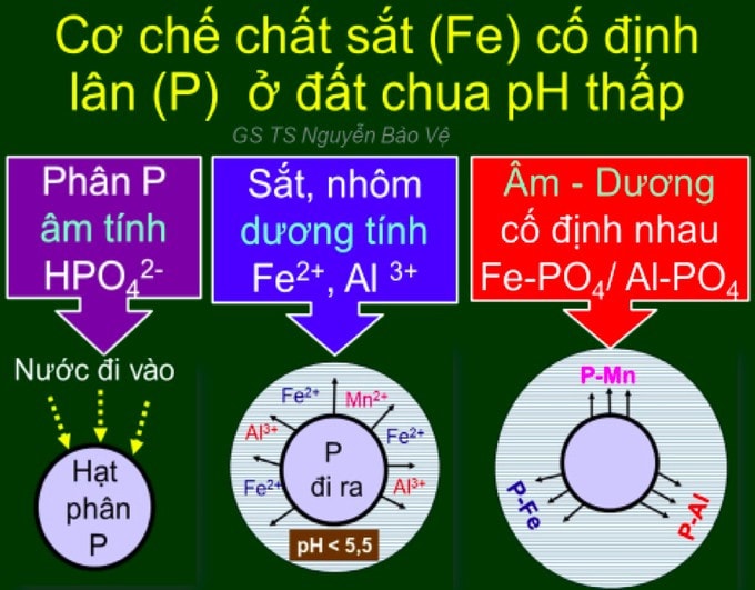 anh-chup-man-hinh-2024-10-31-luc-095716-100739-719-100043.jpg