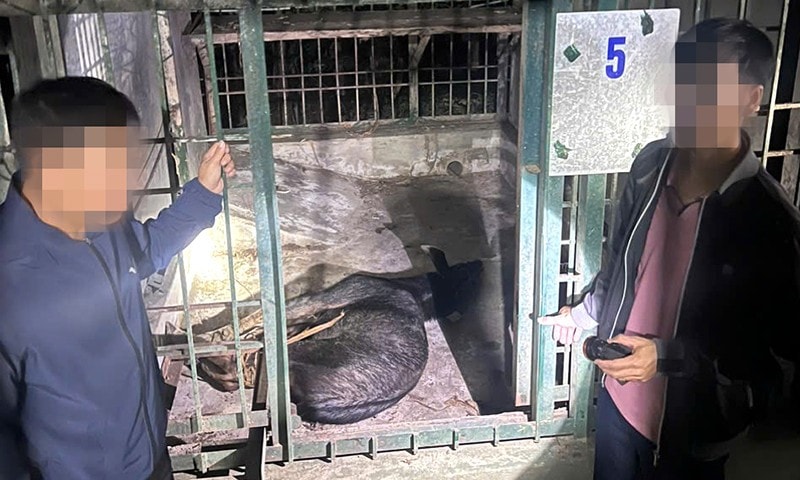 son-duong.jpg