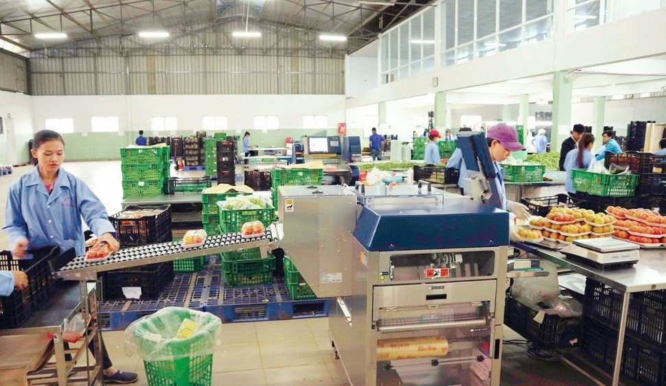 Theo Sở Công Thương Lâm Đồng, năm 2024 kế hoạch kinh phí khuyến công địa phương hơn 10 tỷ đồng. Nguồn: ITN