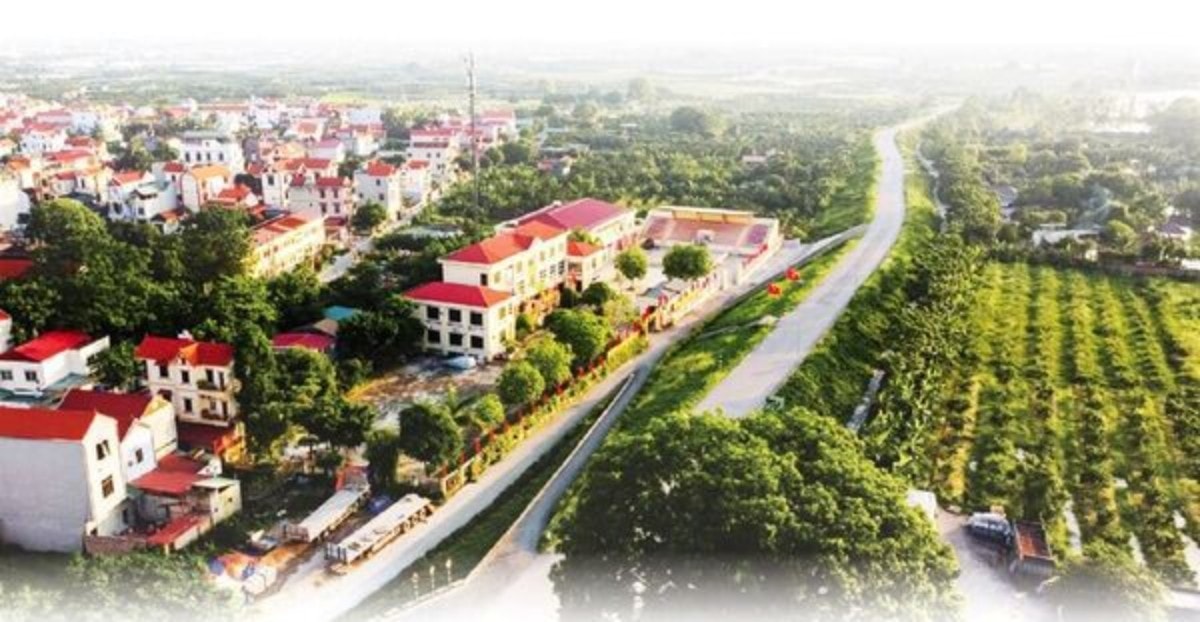 ntm-ha-noi.jpg