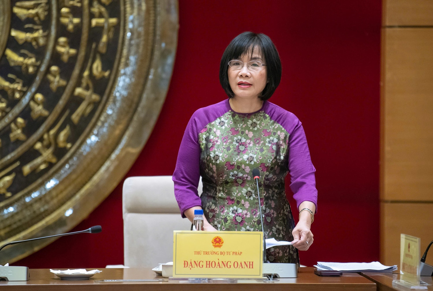 Thứ trưởng Bộ Tư pháp Đặng Hoàng Oanh phát biểu