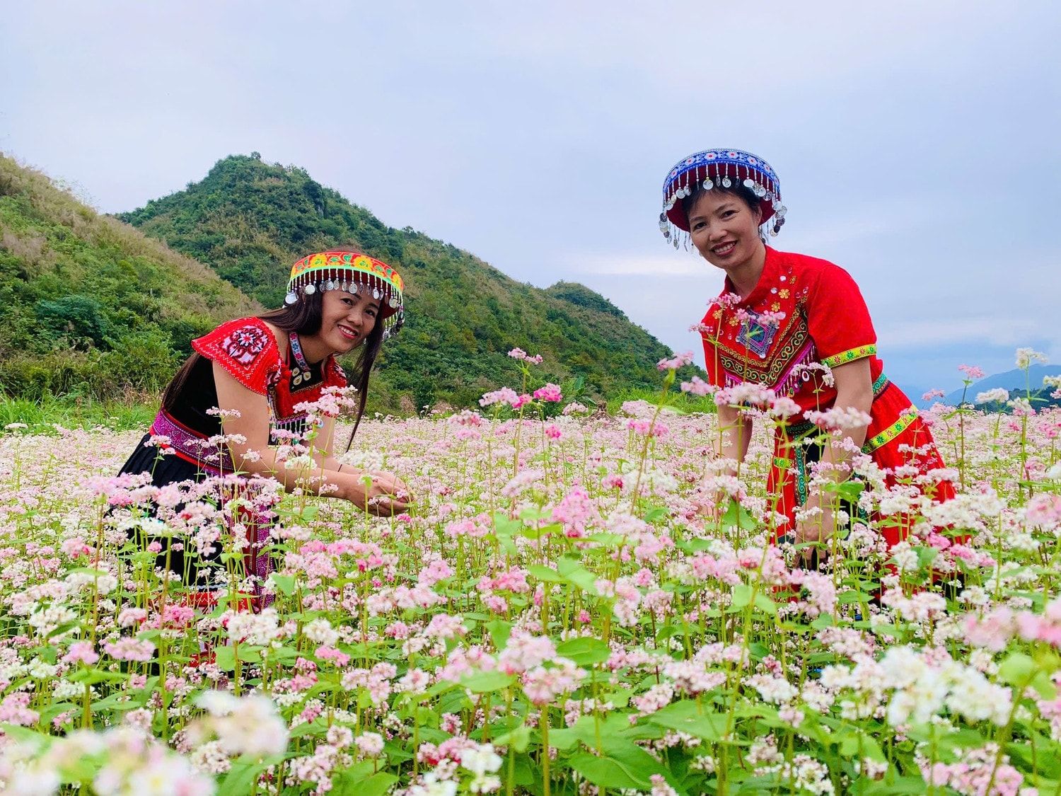 anh-5a-vuon-hoa-tam-giac-mach-duoi-chan-nui-doi-co-tien-ruc-ro-khoe-sac.jpg