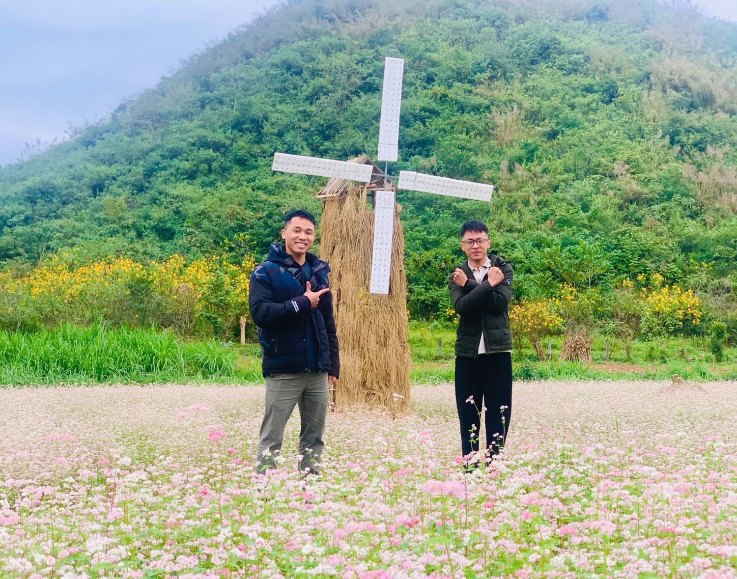 anh-6-cac-vuon-hoa-tam-giac-mach-tao-nhieu-tieu-canh-tao-diem-nhan-cho-vuon-hoa-tam-giac-mach.jpg