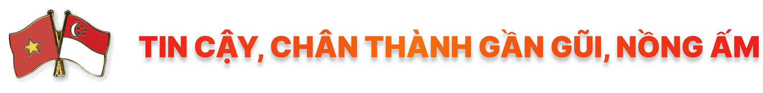 Mở ra cơ hội và thời kỳ hợp tác mới trong quan hệ Việt Nam - Singapore, Việt Nam - Nhật Bản ảnh 2