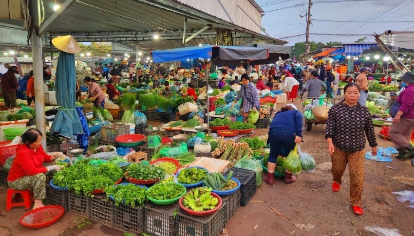 cho-dau-moi-ha-noi.jpg