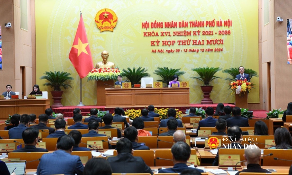 quang-canh-vu-ngoc-tuan-2198.jpg