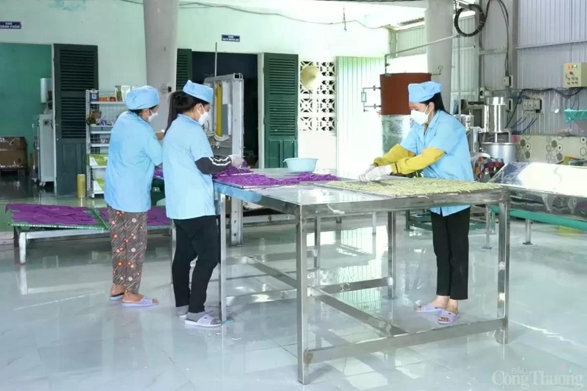 Từ nguồn kinh phí khuyến công Bình Định hỗ trợ toàn diện cho doanh nghiệp, cơ sở sản xuất công nghiệp nông thôn tỉnh nâng cao năng lực sản xuất và thương mại hóa sản phẩm hiệu quả